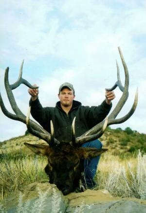 colorado elk