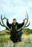 colorado elk