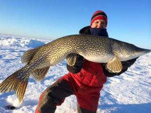 Big  Pike