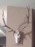 rifle bull