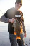 Huge Lake Ontario Smallie