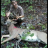 first bow kill