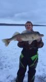Big Fish