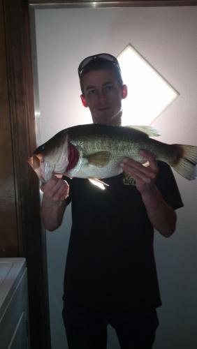 bass