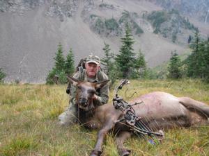 2006 Elk