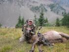 2006 Elk