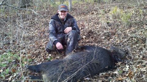 Big hog