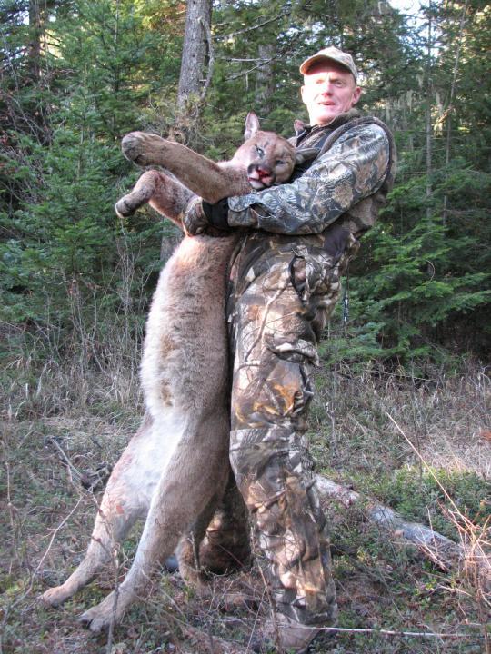 here kitty kitty!