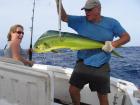 First Dolphan
