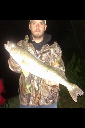 Walleye