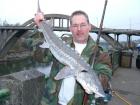 Sturgeon