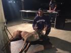 Fort AP Hill fever buck