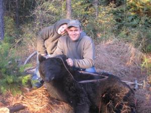 2011 Bear