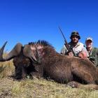 White-tailed Gnu for birthday