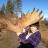 Moose Antler Shed