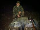My biggest sow