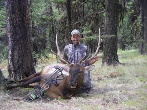 2012 WA Elk