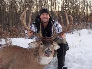 Whitetail