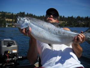 CDA lake Chinook