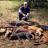 TX Hog Trapping