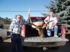 Second trophy class bull