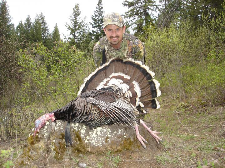 2007 Merriams turkey