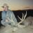 Muley