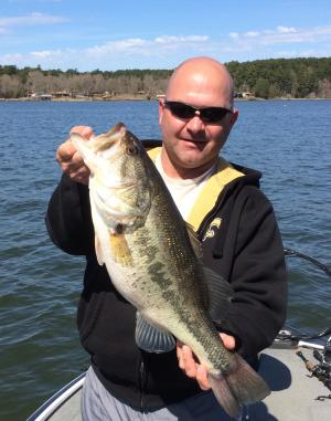 Largemouth bass