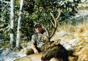 nice bull
