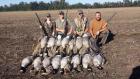 Fall Hunt