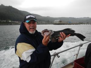 Ling Cod