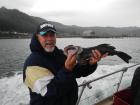 Ling Cod