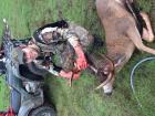 Buck