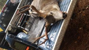 2014 washington muley