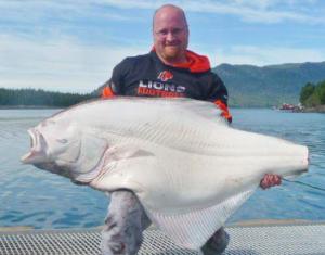 150lb Halibut