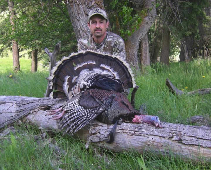 2009 Merriams turkey