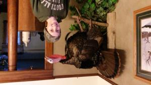 last year's turkey