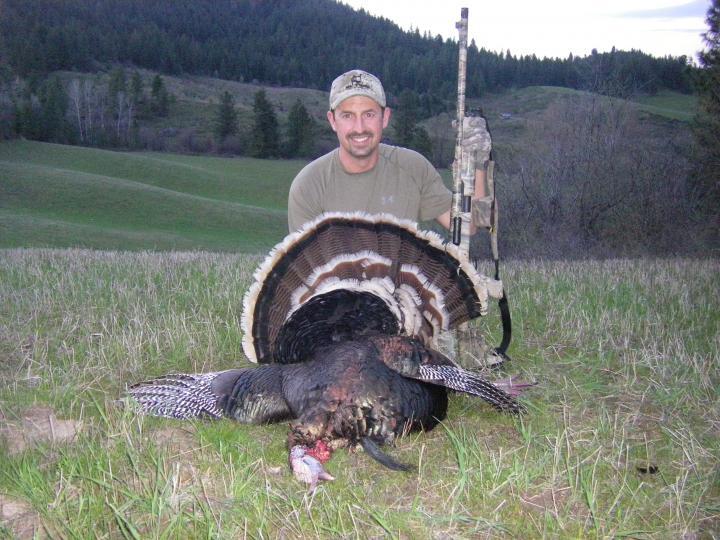 2010 Merriams turkey