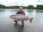 Skeena Chinook