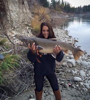 Bull trout 