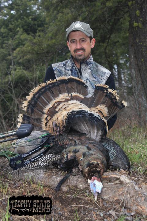 2011 Merriams turkey