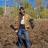 Ruffed Grouse