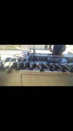 Croppie 