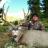 Muley