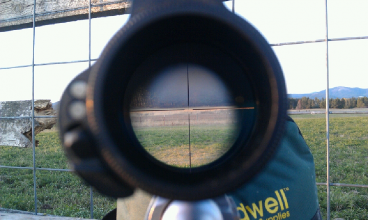 650 yards to the trees...