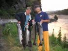 Orofino Springers
