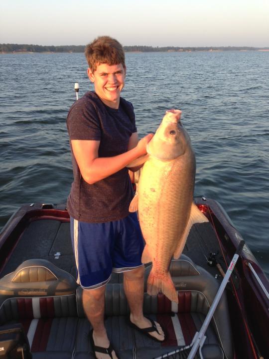 My summer