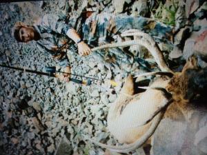 D.I.Y Wyoming elk with longbow