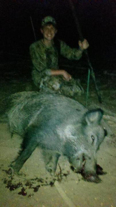 Hog