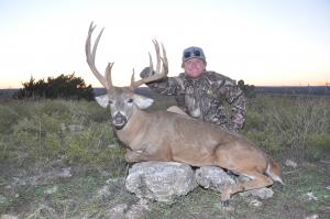 Whitetail
